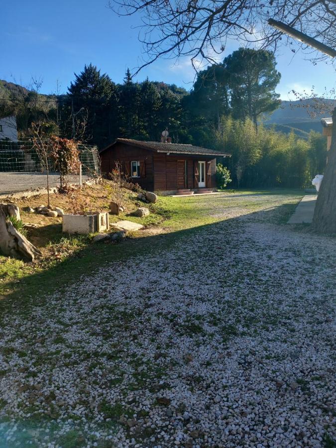 Petit Chalet En Bois Reynès Esterno foto